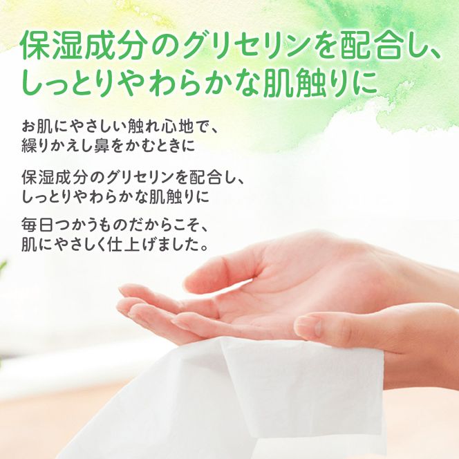 【2回お届け 計60箱】エリエール 北海道 しっとりティシュー なまらたっぷり 240組3箱 10パック ふるさと納税限定デザイン ボックスティシュー 箱ティッシュ ペーパー 備蓄品 花粉 保湿成分 グリセリン配合