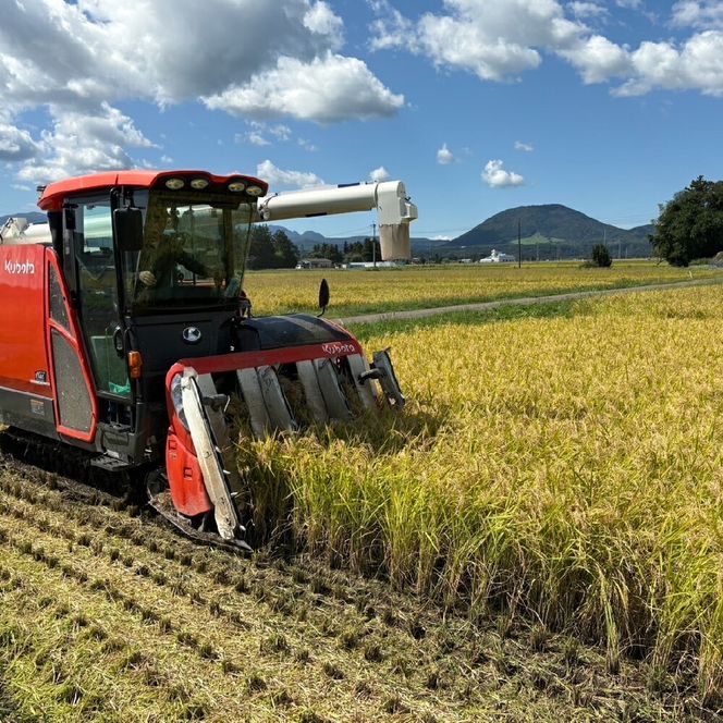 【5kg×3回 計15kg】 米 宮城県産 つや姫　定期便 《 令和7年産 新米 》 ブランド米 白米 精米 ご飯 ごはん コメ こめ お米 小分け 家庭用 結心ファーム [ 宮城県 加美町 ]  | yu-th05-t3-r7