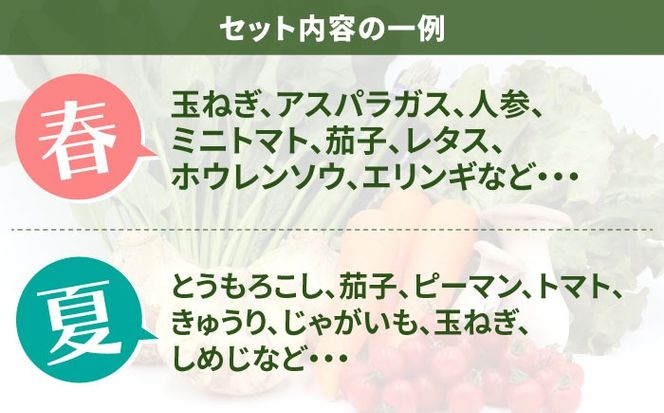 お試し野菜セット 8品目 詰め合わせ / 野菜 やさい ヤサイ 旬 新鮮 / 南島原市 / 吉岡青果[SCZ027]