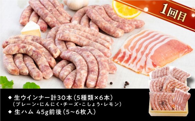 【全3回定期便】本場ドイツで連続金賞受賞！本格 ウインナーの バラエティ 定期便 ( ウインナー / ハム / 生ウインナー / 生ハム ) 糸島 / 糸島手造りハム バラエティーセット [AAC009] 贈り物 のし対応 BBQ キャンプ アウトドア 焼肉 お中元 お歳暮 おつまみ