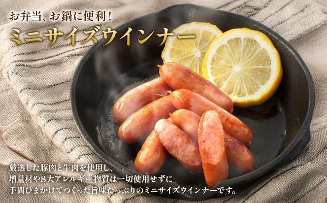 えびの高原 ミニサイズ ウインナー 80g×10パック 合計 800g 豚肉 牛肉 人気 おかず お弁当 おつまみ 総菜 冷蔵 加工品 焼肉 ギフト 九州 宮崎県 えびの市 送料無料
