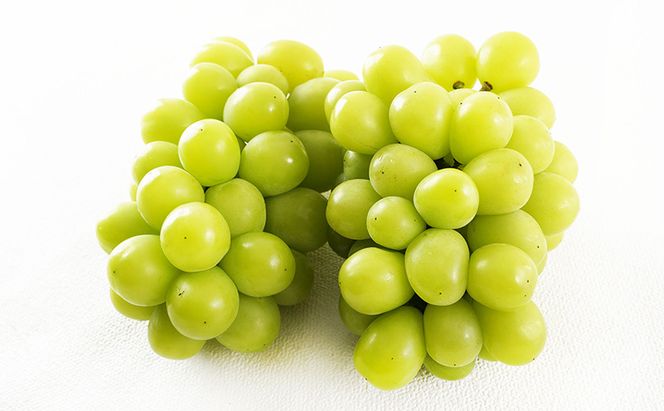 桃 ぶどう 定期便 （隔月） 2026年 先行予約 晴れの国 岡山の フルーツ 定期便 3回 コース 白桃 もも 葡萄 シャイン マスカット 葡萄 岡山産 国産 フルーツ 果物 ギフト