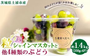 シャインマスカットと他4種類のぶどう（粒）約1.4kg（350g×4P）　※離島への配送不可　※2025年9月中旬～10月下旬頃に順次発送予定
