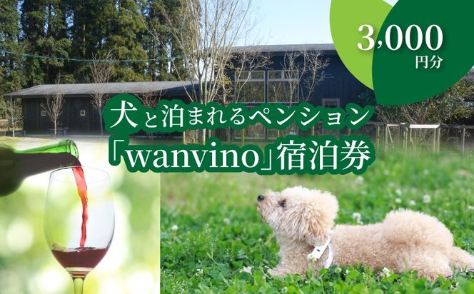 y{茧؏钬zƔ܂yVuwanvinov3000~h K15_0004_1