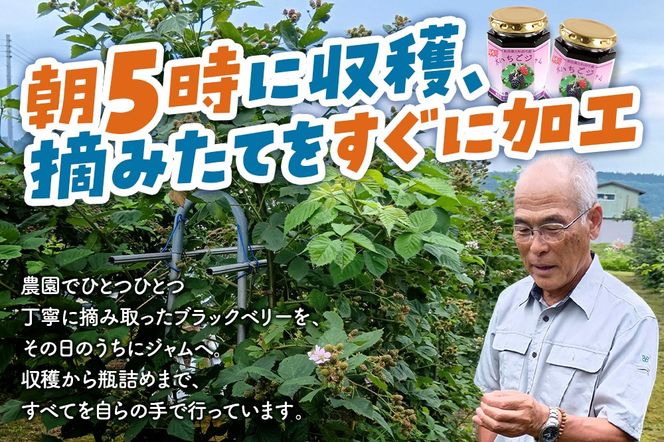 ジャム 木いちごジャム 150g×3本セットてぃっちゃん農園 秋田県 北秋田市|tcne-010301