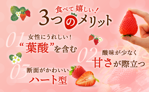 〈数量限定〉【先行予約】さくら市産イチゴ（とちあいか）290g×4パック｜いちご イチゴ 苺 先行予約 栃木県 果物 くだもの フルーツ とちあいか 新鮮 贈答 ギフト ※2025年12月下旬～2026年3月下旬頃に順次発送予定