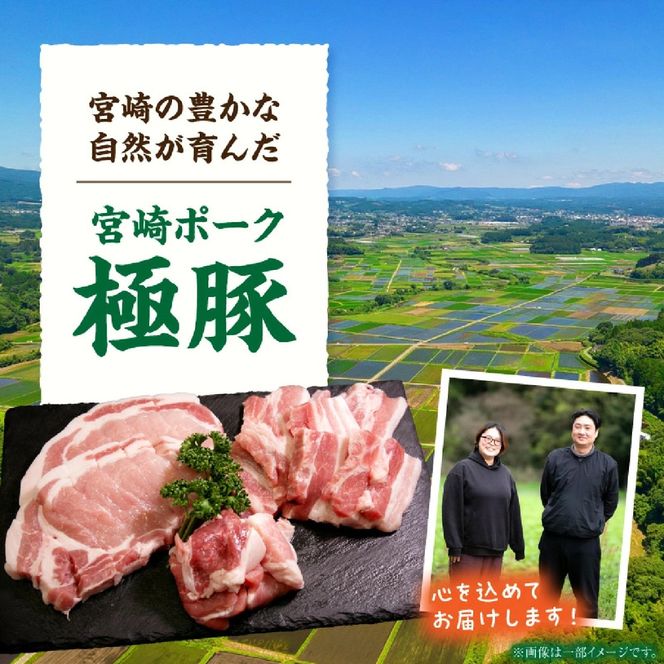 【定期便・産地直送・鮮度密封真空小分け】契約農場ですくすく育った宮崎極豚焼肉食べ比べコース 12回