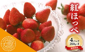 JA遠州中央 紅ほっぺ いちご 4パック 260g×4 遠中 静岡県 静岡 袋井市 袋井 イチゴ 苺 贈答 フルーツ 果物 くだもの 人気