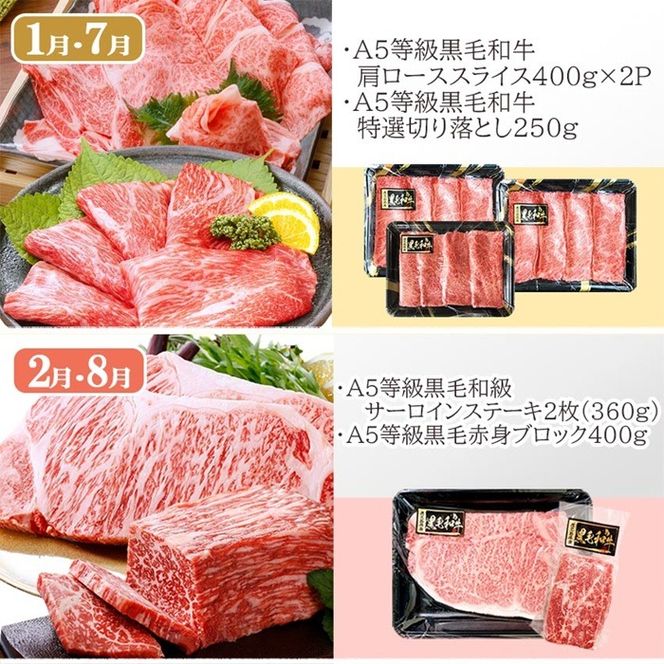 定期便(6回配送)A5等級鹿児島県産黒毛和牛三昧 II-0016 【1166763】