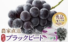 【2026年8月中旬以降発送】[農家直送]厳選ブラックビート2kg箱（3～5房）[持田農園] 322032_EB003