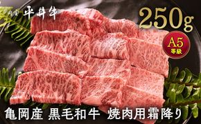 数々の誉れに輝く最高峰 黒毛和牛「平井牛」A5 焼肉用 霜降り 250g 京都 丹波牧場 自家産≪三角バラ・トモバラ・カルビ・カイノミ・ミスジ 希少 和牛 京都肉 冷凍 真空 BBQ キャンプ≫