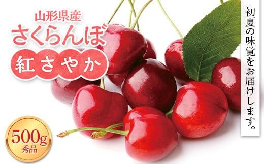 FYN9-937 ≪2026年先行予約≫山形県産 さくらんぼ 紅さやか 500g 秀品 M～L バラ詰め 2026年6月上旬から順次発送 酸味あり 果実 果物 くだもの フルーツ 早生 桜桃 サクランボ お菓子作り 加工 自宅用 家庭用 山形県 西川町 月山