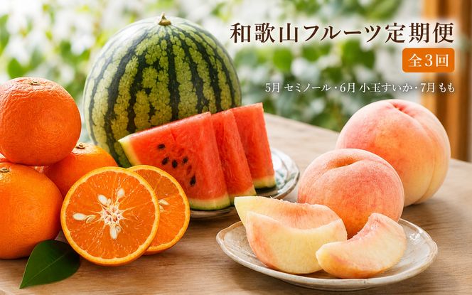 【定期便】【全3回】紀州和歌山産旬のフルーツ定期便（セミノール・スイカ・桃）【5月・6月・7月】【tkb453】