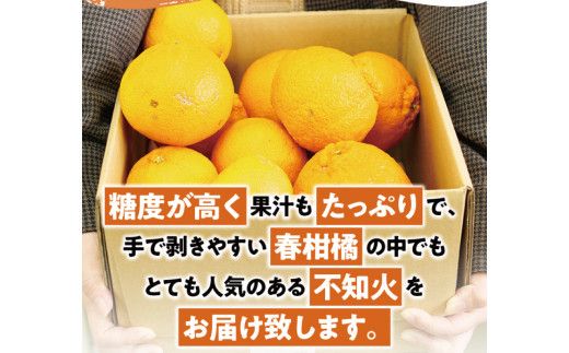 ご家庭用 訳あり 不知火 約3.5kg ＋痛み保証分 大小混合 〈2027年2月初旬～3月下旬までに順次発送〉 家庭用 訳アリ わけあり みかん ミカン フルーツ 果物 くだもの 不知火 しらぬい 不知火デコポン 蜜柑 柑橘 人気 予約 先行予約 数量限定【njb670E】
