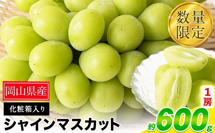 秀品 シャインマスカット 約600g 1房[9月中旬-11月上旬頃出荷]---ofn_cssm_g911_25_16500_1---