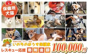 保健所犬猫レスキュー【返礼品なしのご寄附】