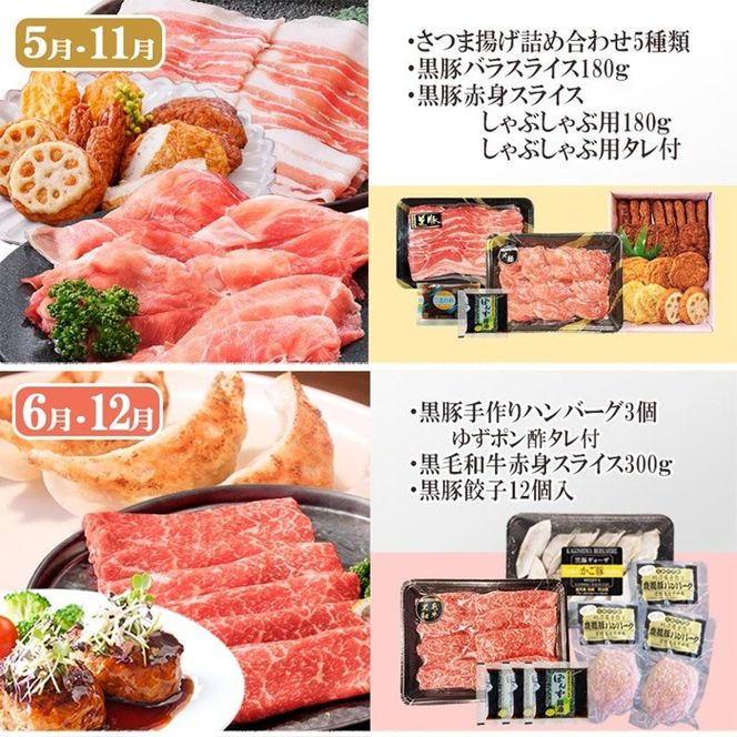 定期便6回配送　よりどりバラエティーセット　GG5-0004 【1573860】