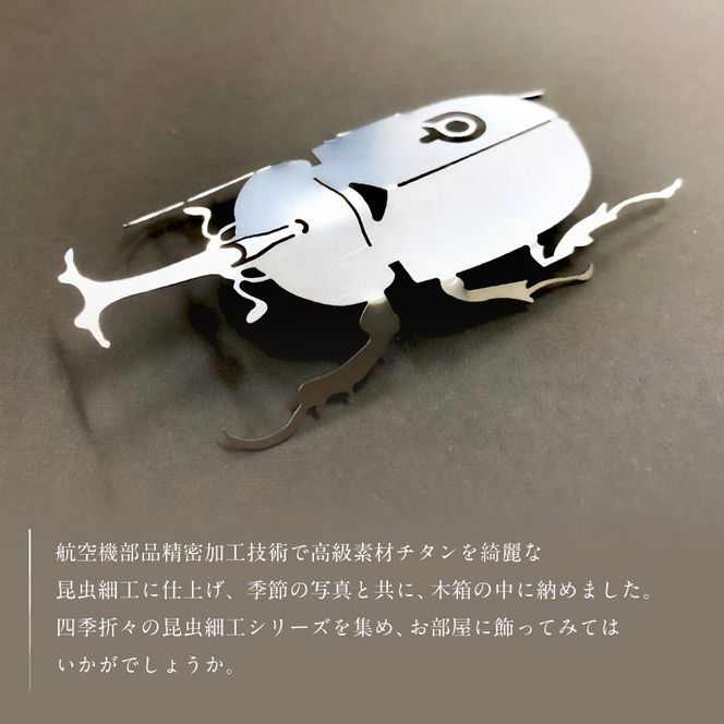 薄板チタン昆虫細工シリーズ（カブトムシ）　【0067-011】