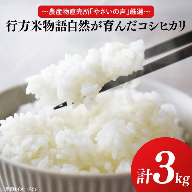 【令和8年産新米】～農産物直売所「やさいの声」厳選～「行方米物語 - 自然が育んだコシヒカリ３kg」｜米 お米 こめ コシヒカリ ご飯 白ご飯 令和8年産 R8年産 茨城県 行方市(EK-6-2)