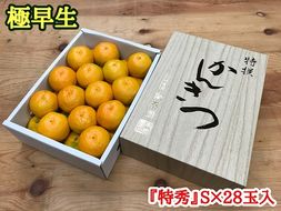極早生 みかん 有田 化粧箱 小箱 特秀 Sサイズ 約2kg 28玉入 南泰園_ZF6022n