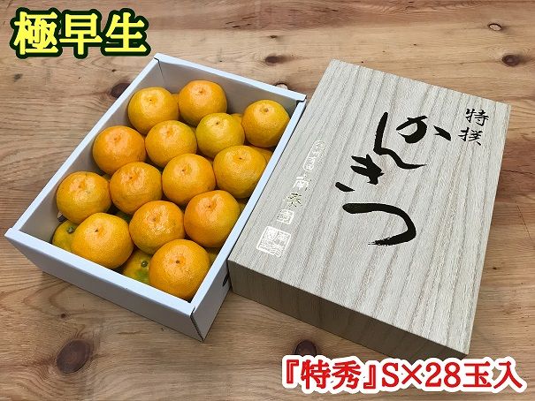 極早生 みかん 有田 化粧箱 小箱 特秀 Sサイズ 約2kg 28玉入 南泰園_ZF6022n