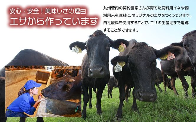 【人気部位ミスジ！】A5等級黒毛和牛ミスジステーキ 400g　K002-045