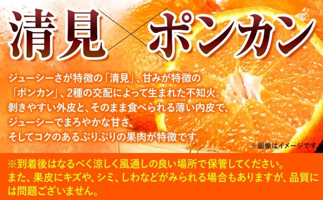 【先行予約】【ご家庭用】紀州有田産 不知火 ( しらぬひ ) 選べる内容量 約3kg 約6kg 約8.5kg 株式会社魚鶴 《2月中旬-3月中旬頃出荷》 和歌山県 日高川町 不知火 みかん 柑橘 果物 フルーツ デコポン と同品種 でこぽん 訳あり不知火 訳ありデコポン 訳あり---wshg_uot110_2c3c_25_9000_3kg---