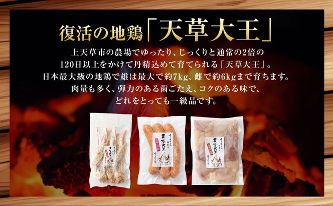 天草大王プレミアムバーベキューセット（小） 計3パック 天草大王 焼鳥 手羽先 串 ウインナー コロコロカット