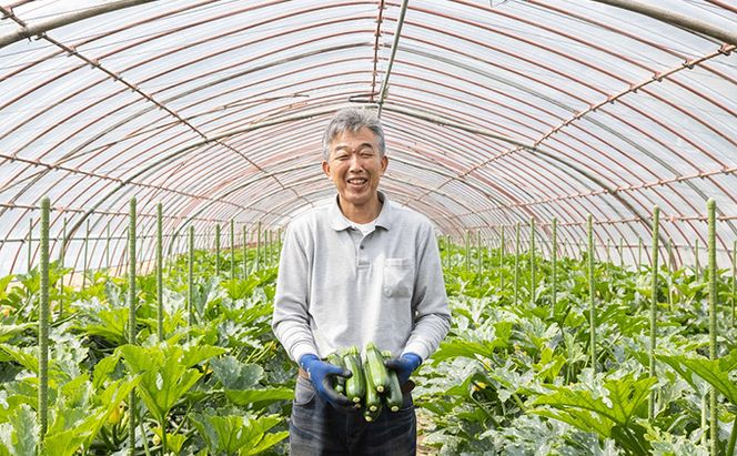瀬戸内 牛窓産 ズッキーニ 約2kg（12本前後） 野菜 岡山県産 