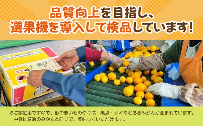 【2026年先行予約】ご家庭用　和歌山有田みかん約5kg(SS、Sサイズ)【湯浅町】_ZJ6097