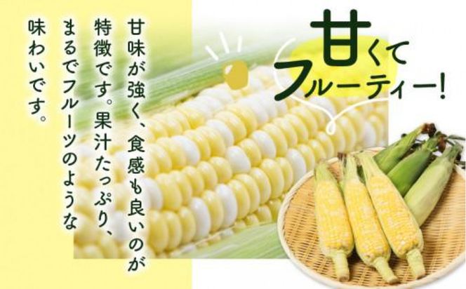 食べ応え抜群 太物2Lサイズ以上!ドルチェドリーム 約3.5kg【2027-6月上旬～2027-7月上旬配送】 372013_T006-305J