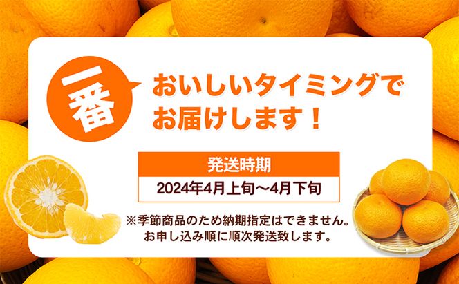 【 小豆島 】 甘夏柑 約10kg 柑橘 あまなつかん 果物 フルーツ 爽やか さっぱり くだもの 国産 香川 香川県 土庄 土庄町 