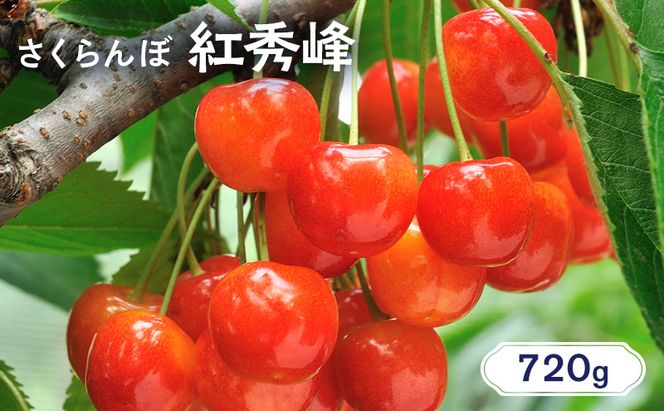 北海道 仁木町産 さくらんぼ 紅秀峰 720g（180g×4パック） 美味しい 人気 おすすめ お裾分け サクランボ チェリー フルーツ 果物 果物類  仁木町 仁木 [JA新おたる]