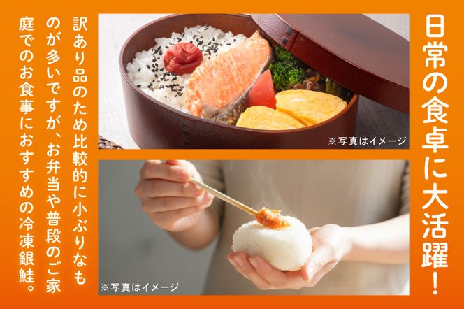 【訳あり】 塩銀鮭 切身 切落し 2kg (500g × 4パック) 切り身 真空パック 冷凍 規格外 不揃い 鮭 さけ しゃけ 切身 お弁当 朝食 おかず 魚介類 海鮮