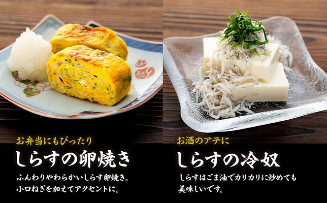 しらす 500g ( 500g × 1袋 ) 訳あり 冷凍 しらす干し 減塩 極み ごはん 丼 パスタ チャーハン サラダ 魚 料理 山庄 愛知県 南知多町 師崎