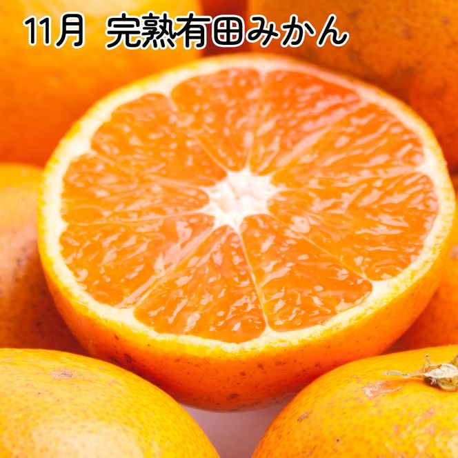 厳選 柑橘定期便SS（10～12月）全3回【みかん定期便お試し版】［IKE284］ 303446_BB90193