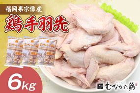 手羽先 6kg （平飼い） 宗像産 ブランド鶏＜むなかた鶏＞ 【JAほたるの里】_HA1421