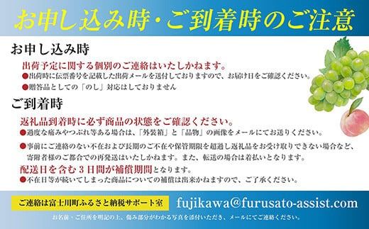 【2025年発送分】フルーツ王国やまなし《人気品種》 和梨 8～15玉（約2.5kg）幸水 豊水  ※8月上旬以降発送予定 梨 なし くだもの 果物 フルーツ 山梨 やまなし 産地直送 先行予約