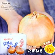 淡路島玉ねぎ 大きな2Lサイズ10kg　玉ねぎ