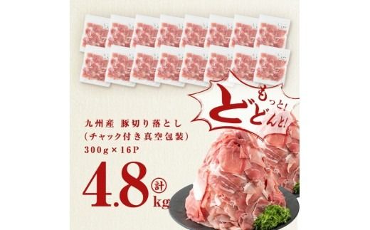 【訳あり・生産者応援企画】九州産 豚切り落とし肉＜計4.8kg(300g×16P)＞ b3-023