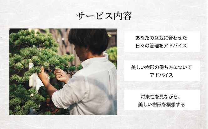 盆栽 翠松園 リザーブサービス 【あなたの盆栽に合わせた日々の管理をアドバイス】 チケット 体験チケット 