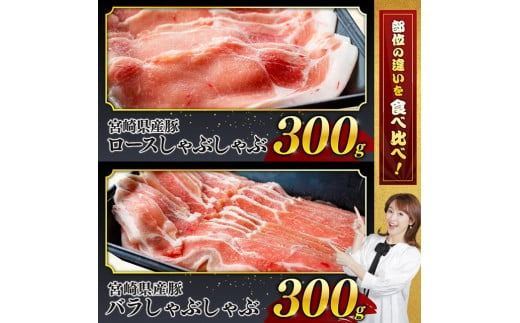 ヒルナンデスで紹介！※発送時期が選べる※宮崎県産 豚肉 6種 4.1kg【ミヤチク 九州産 国産 宮崎県産 豚 ぶた 肉 ロース バラ とんかつ 焼肉 おうちごはん おうち時間】☆ [D0621]