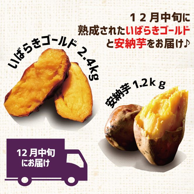 【早割B2プラン】2026年度おいも株オーナー制度 1口｜さつまいも 芋 サツマイモ お芋 おいも株 株 オーナー いばらきゴールド 安納芋 らぽっぽファーム 体験 農園 茨城県 行方市(CQ-27-1)