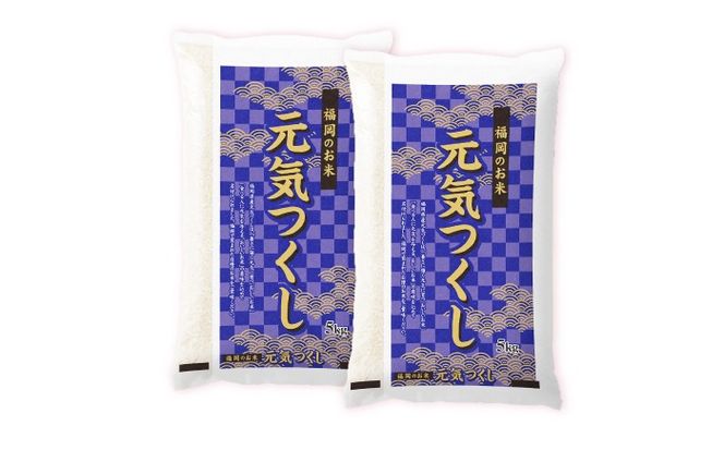 令和7年産　福岡県　元気つくし　10kg（5kg×2袋）《築上町》【カネガエ】[ABFA005]