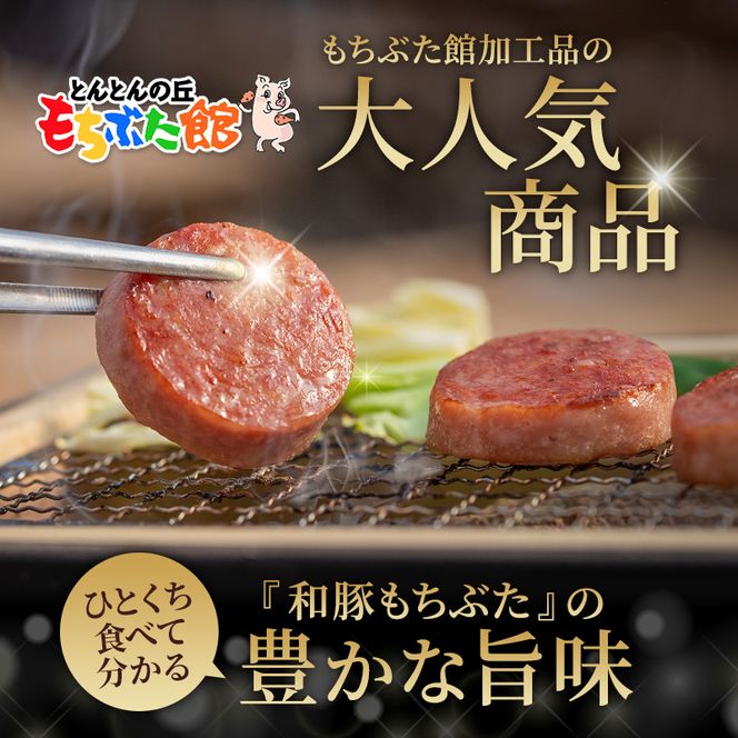 もちぶた お試しセット こだわりのちょっと贅沢を ソーセージ 角煮 豚肉