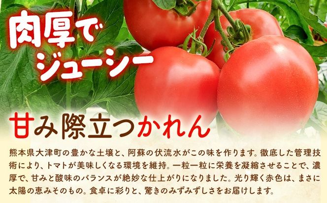 【大津アグリラボ】大玉トマト かれん 選べる内容量 約1kg 約2kg 株式会社中九州クボタ《10月上旬-6月下旬頃出荷》熊本県 大津町 トマト 大玉 野菜---大津アグリラボ】大玉トマト かれん 選べる内容量 約1kg 約2kg 株式会社中九州クボタ《10月上旬-6月下旬頃出荷》熊本県 大津町 トマト 大玉 野菜---oz_nkb_1_1kg---