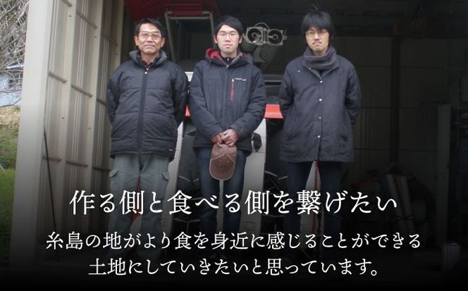 爽やかに甘い！ 糸島産 「はるか」 ジャンボサイズ 約5kg（3L-4Lサイズミックス）糸島市 / 二丈赤米産直センター[ABB031]
