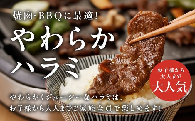 mrz0348 やわらかハラミ 500g【氷温熟成×特製旨ダレ 味付き 訳あり サイズ不揃い 小分け 焼くだけ 焼肉】
