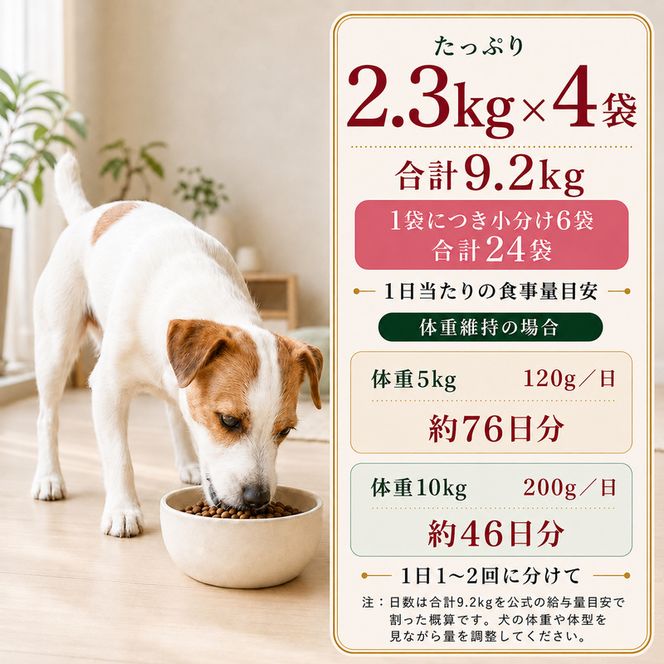 ビューティープロ ドッグ おなかの健康 1歳から 2.3kg ｘ4(ケース単位) ドッグフード