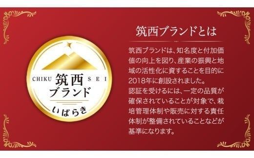 てるて姫 大箱 約2.6kg × 1箱 【20～35玉/1箱】 2026年産 野菜ソムリエサミット 金賞 糖度9度 以上 野菜 フルーツトマト フルーツ トマト とまと [AF109ci]